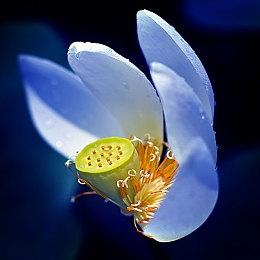 双摇杆塔防动作游戏《末日度假村》推出试玩Demo 